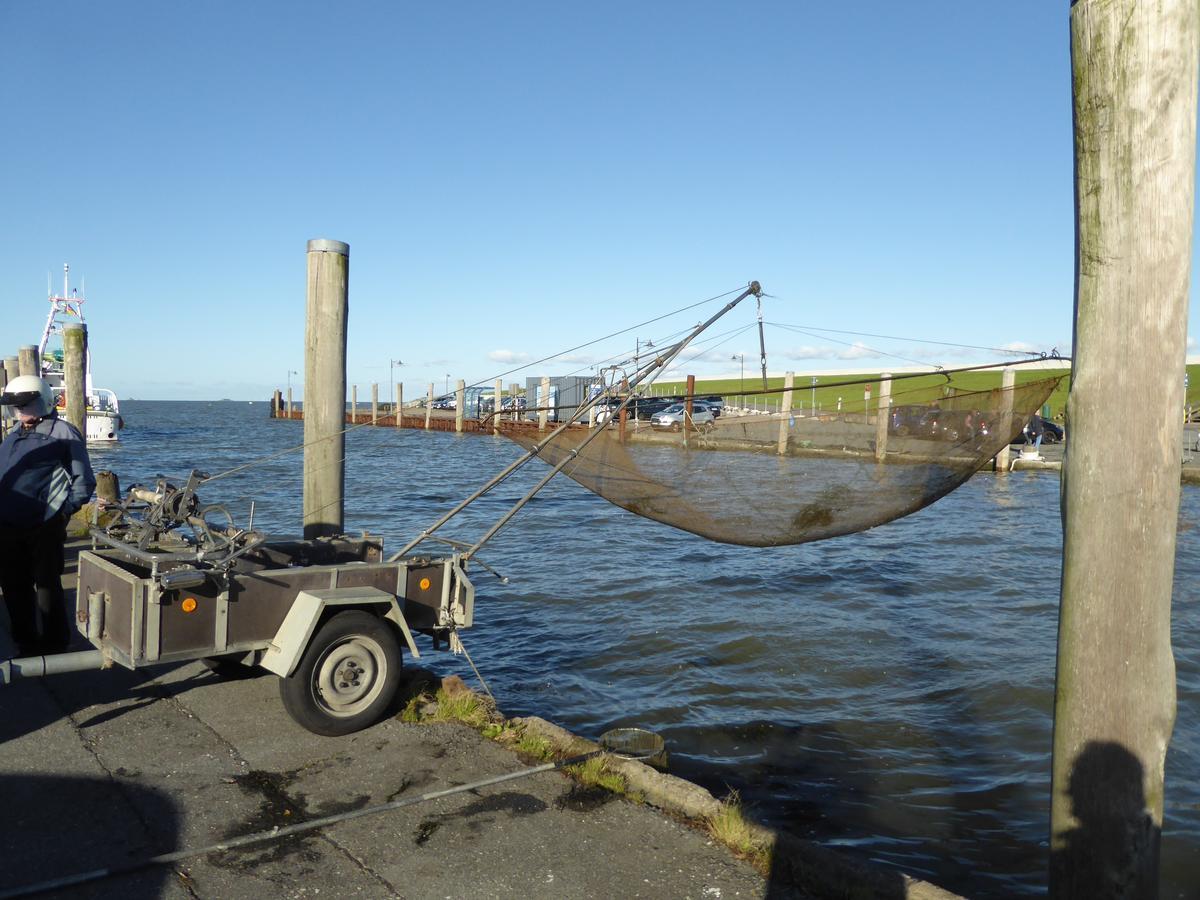 Ferienwohnungen Im Osterkoog Đảo Đảo Nordstrand Ngoại thất bức ảnh
